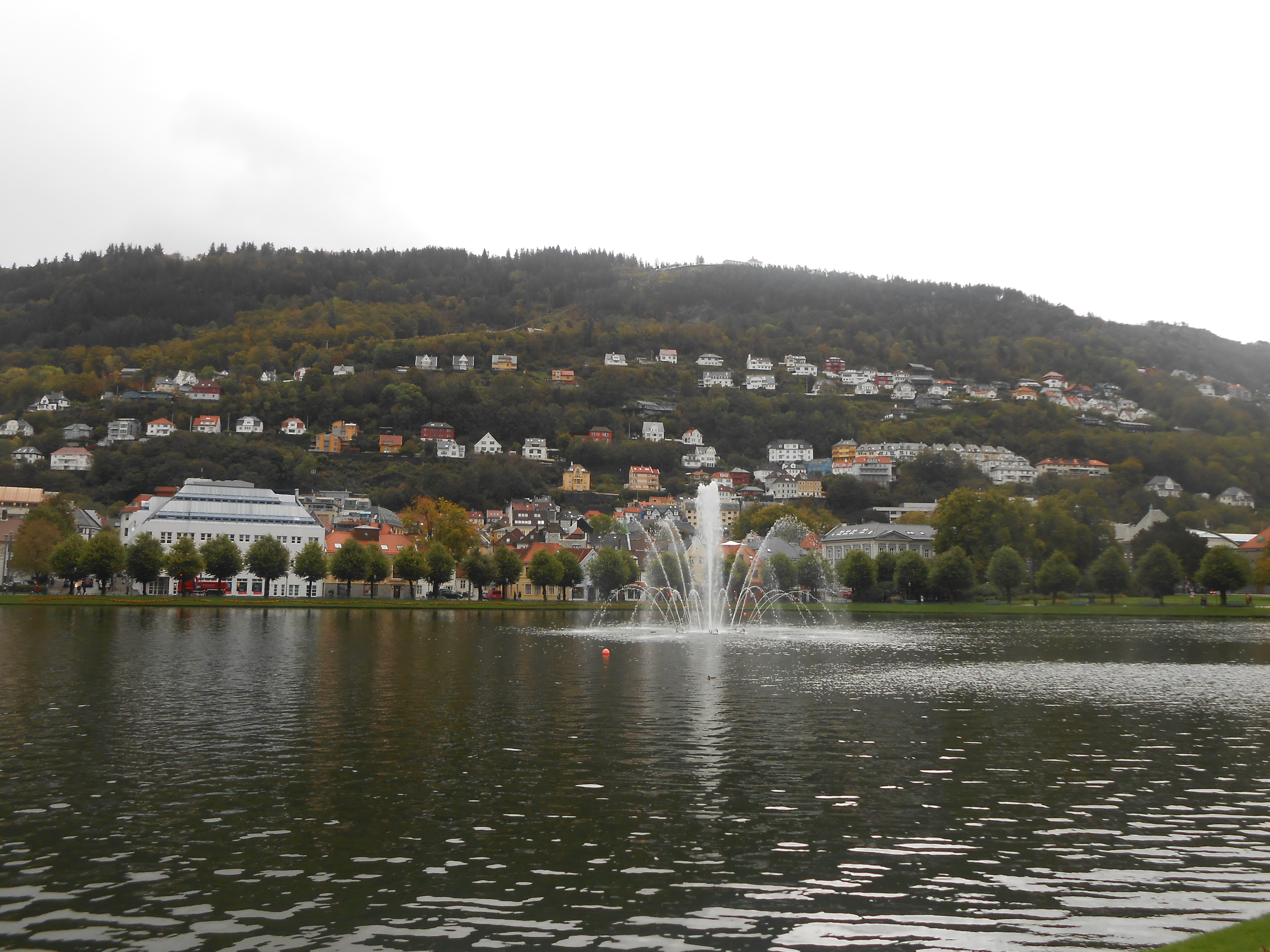 2017-10-04 11.39.27.jpg