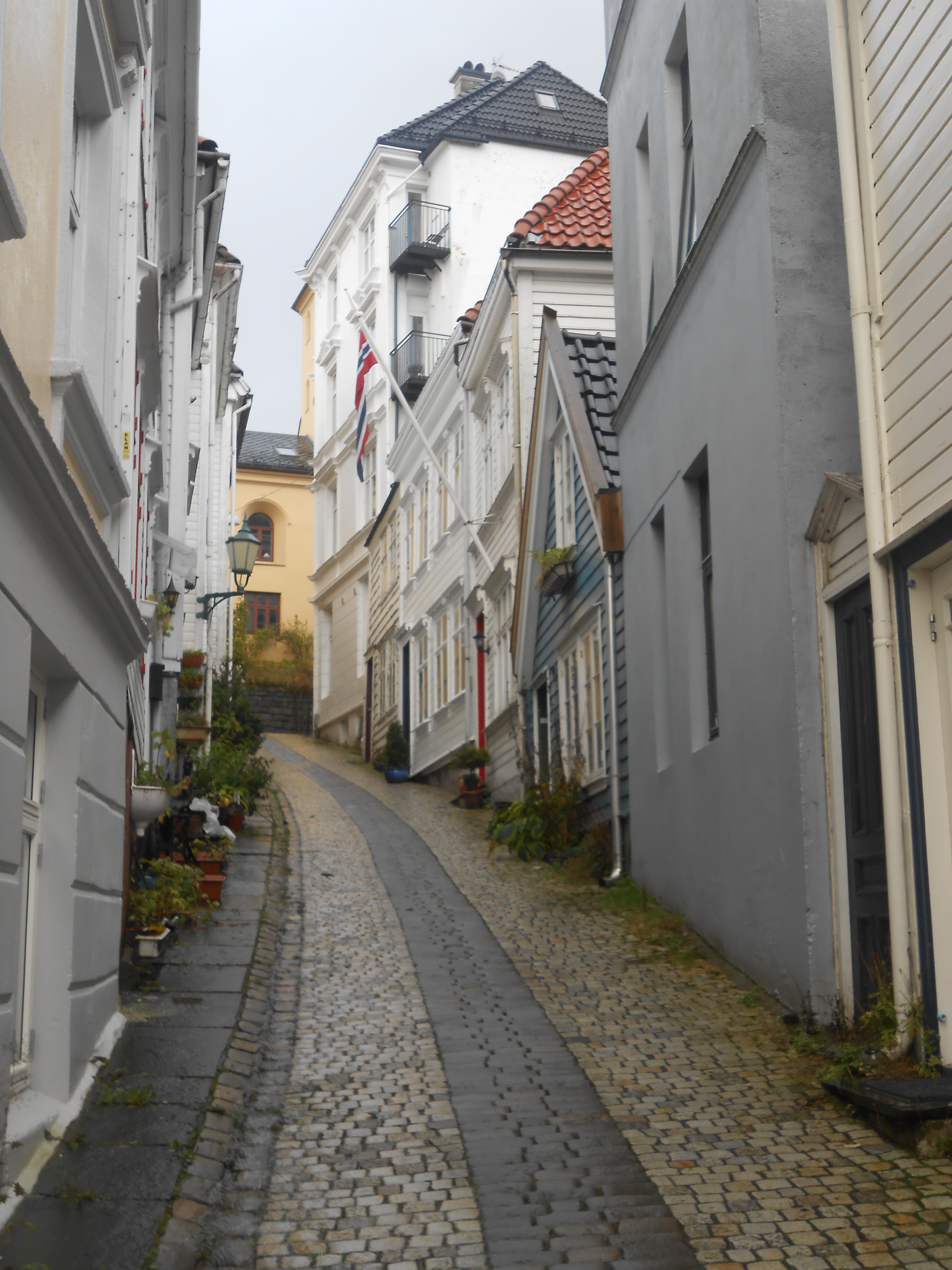 2017-10-05 10.44.15.jpg