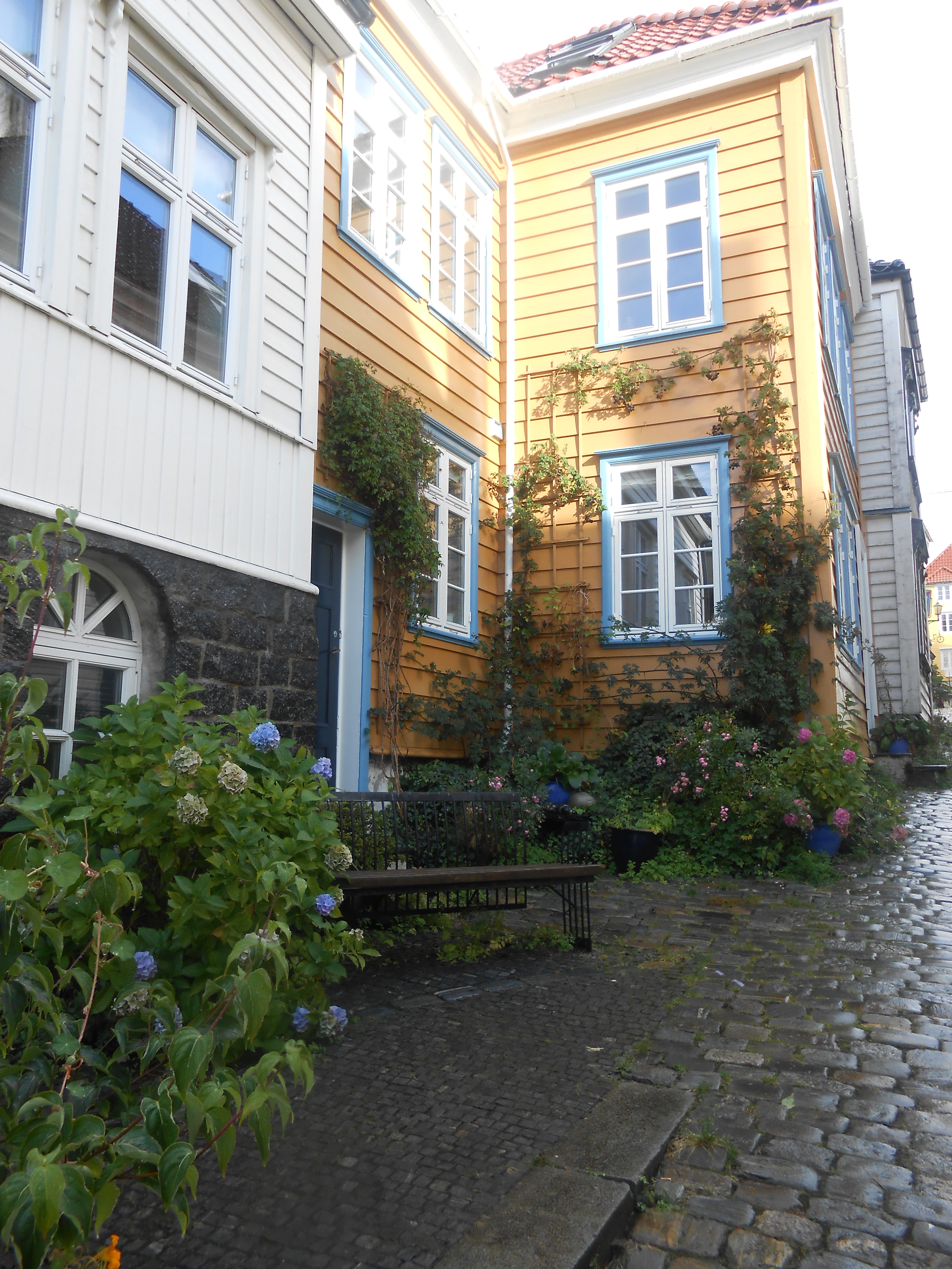 2017-10-05 10.51.59.jpg