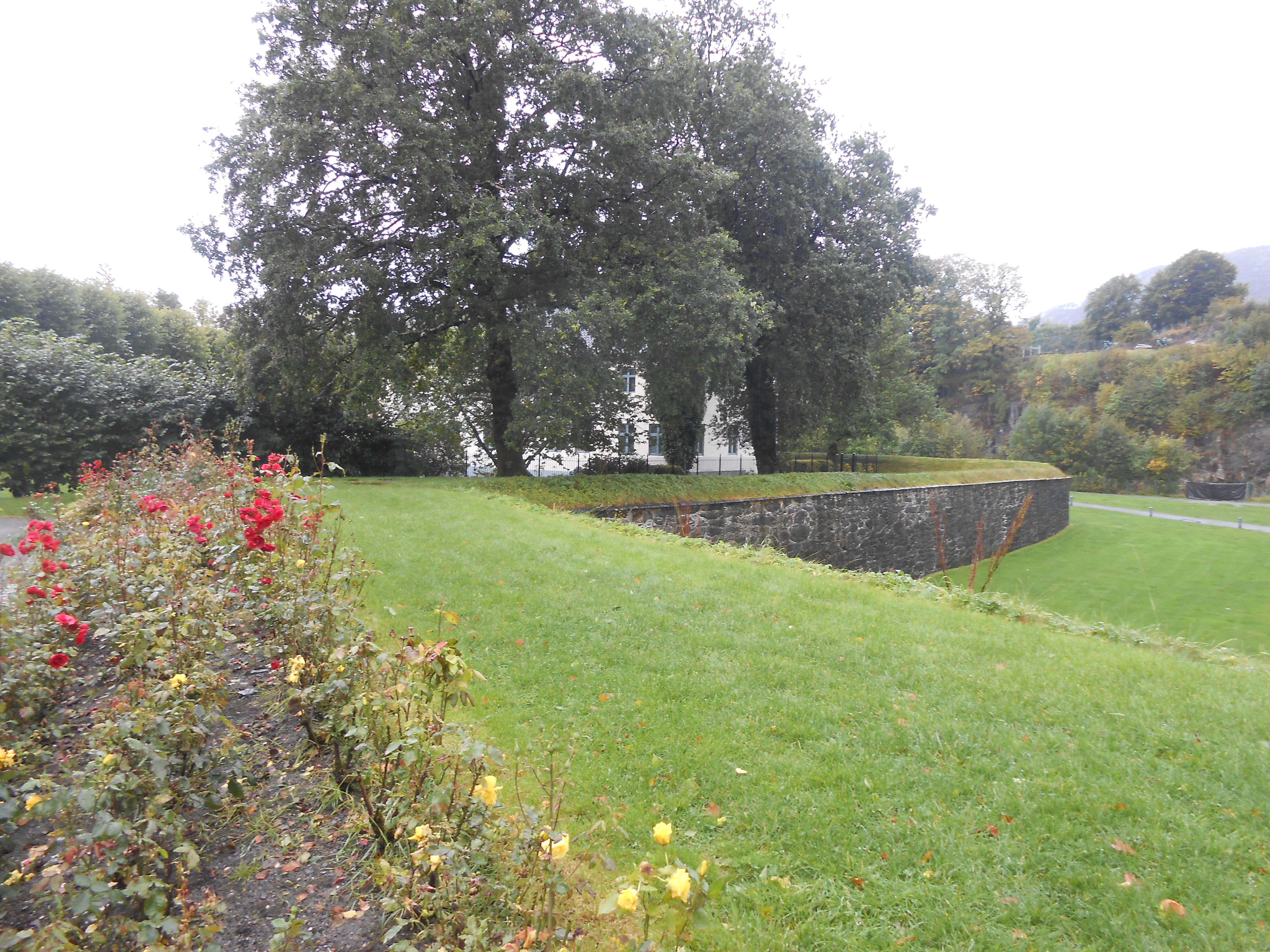 2017-10-05 15.24.38.jpg