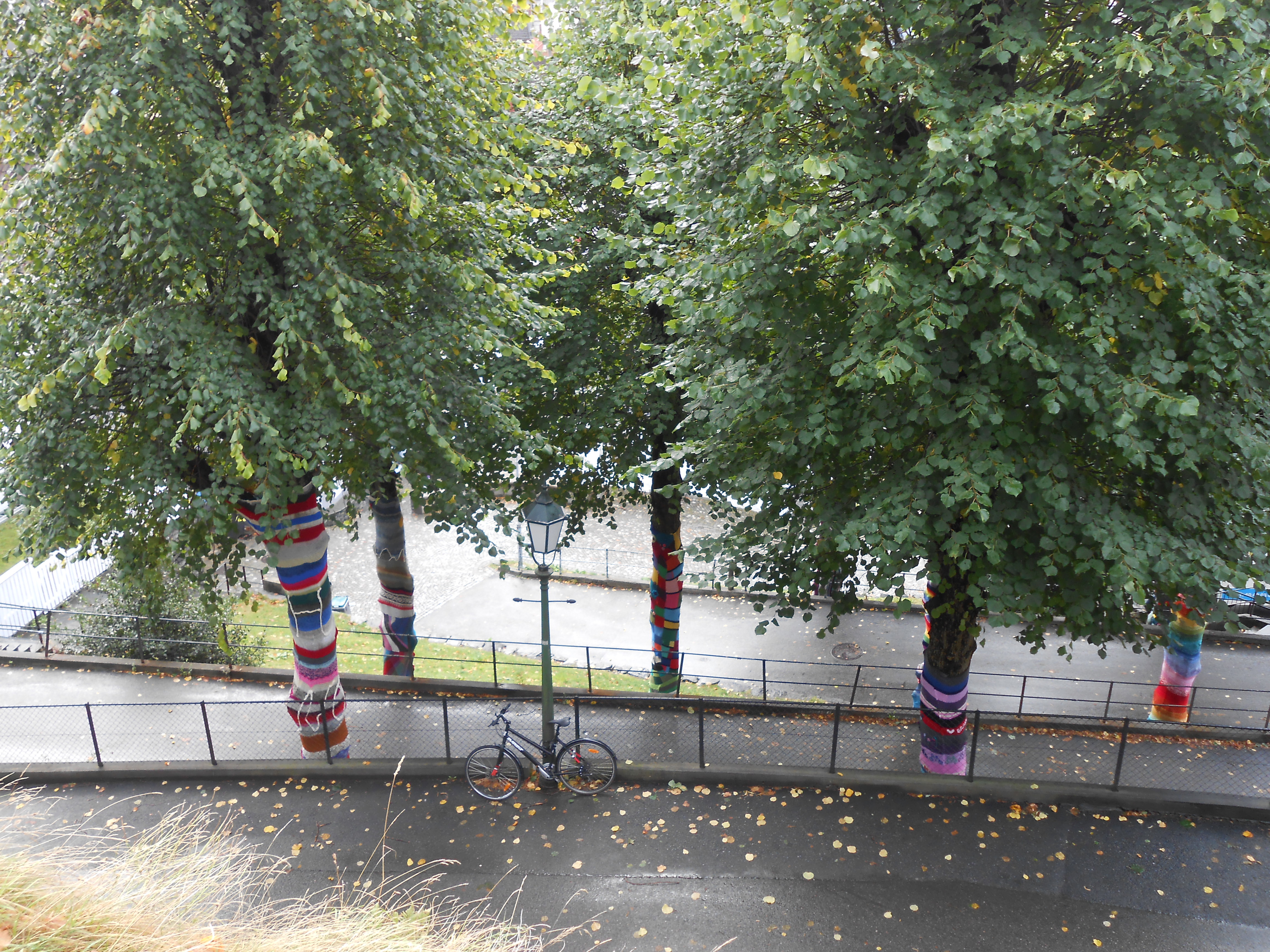 2017-10-06 13.24.48.jpg