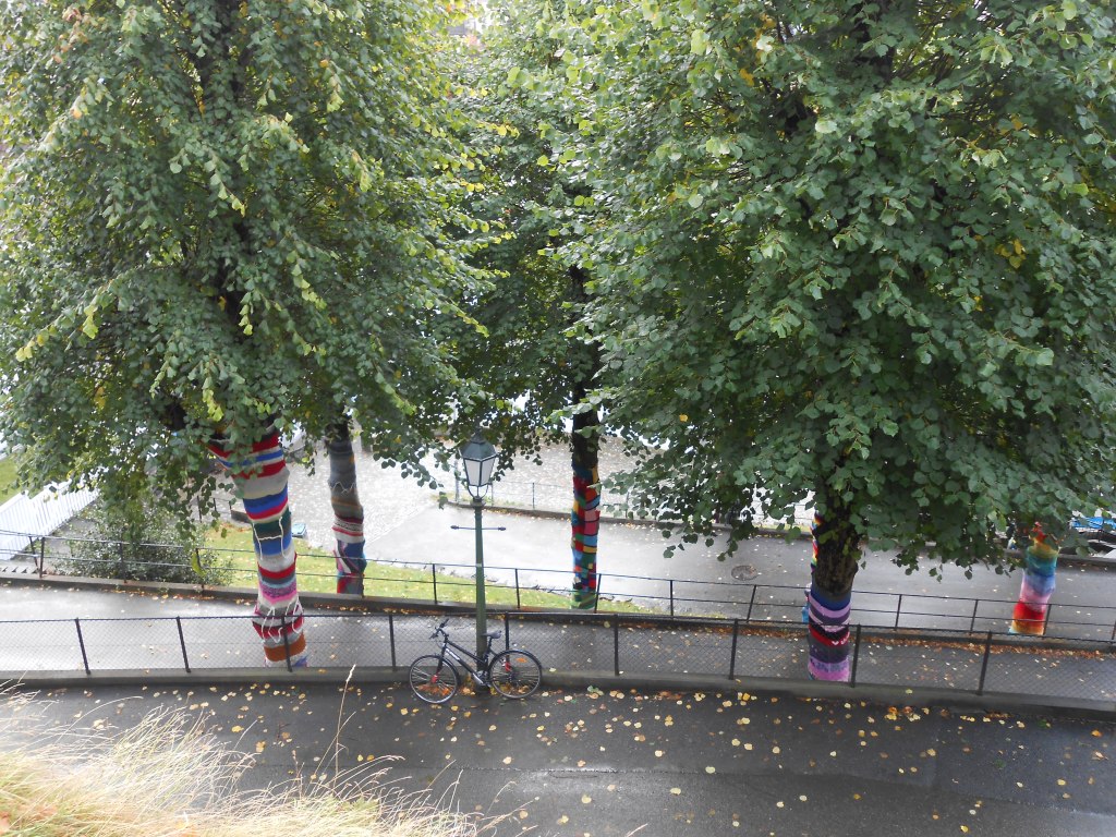 2017-10-06 13.24.48.jpg