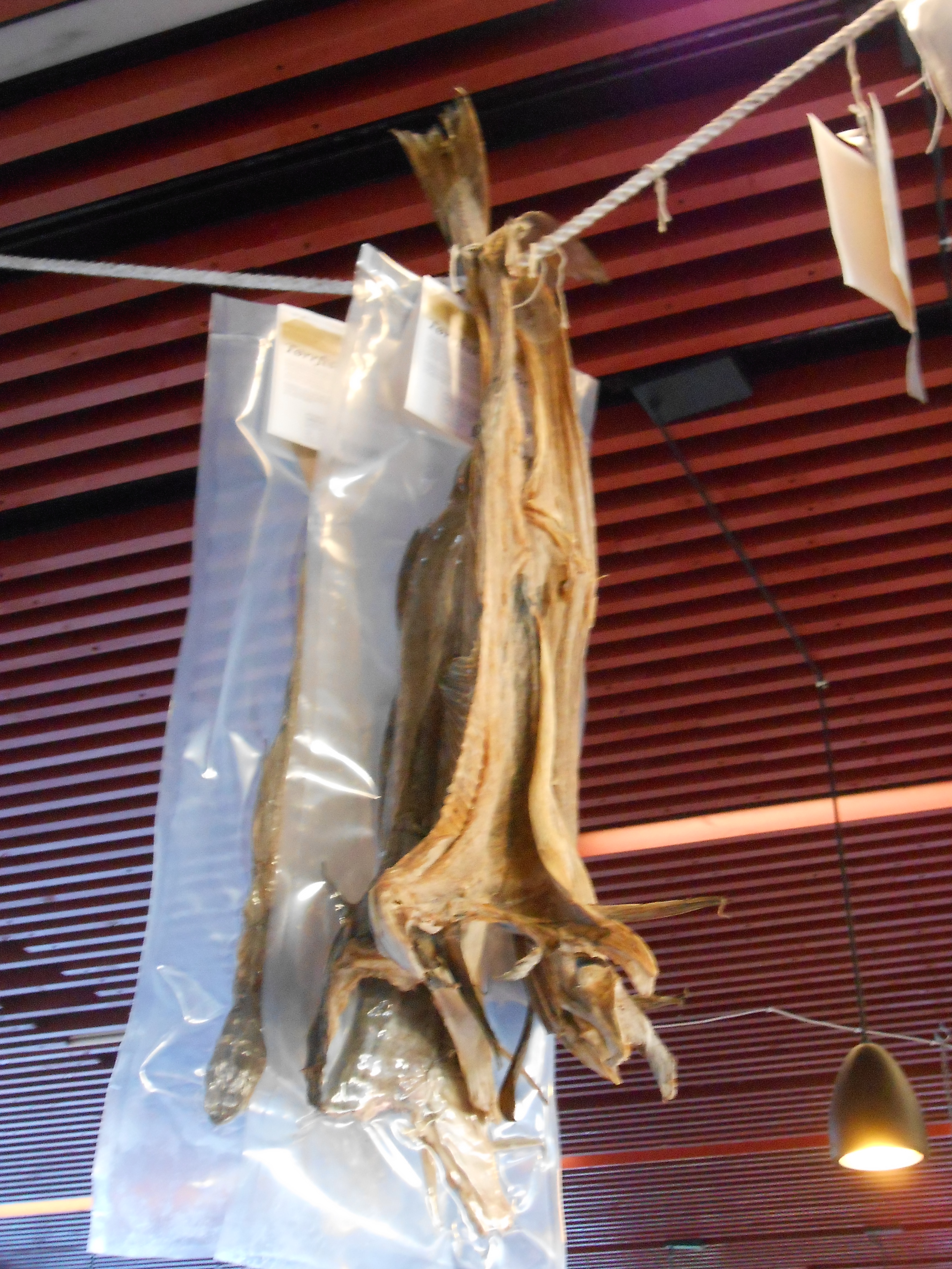 2017-10-08 16.19.52.jpg